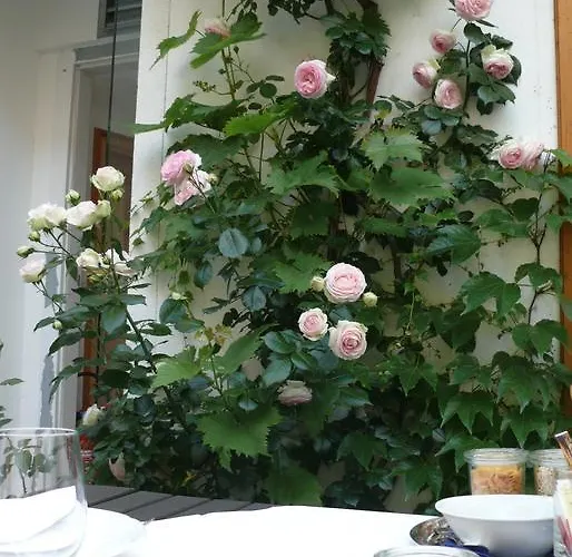 Hotel Schreiners Essen Und Wohnen 3*